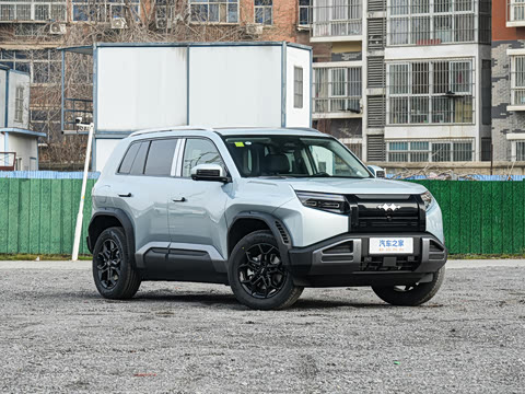 2025 Fangchengbao T3 Image 2